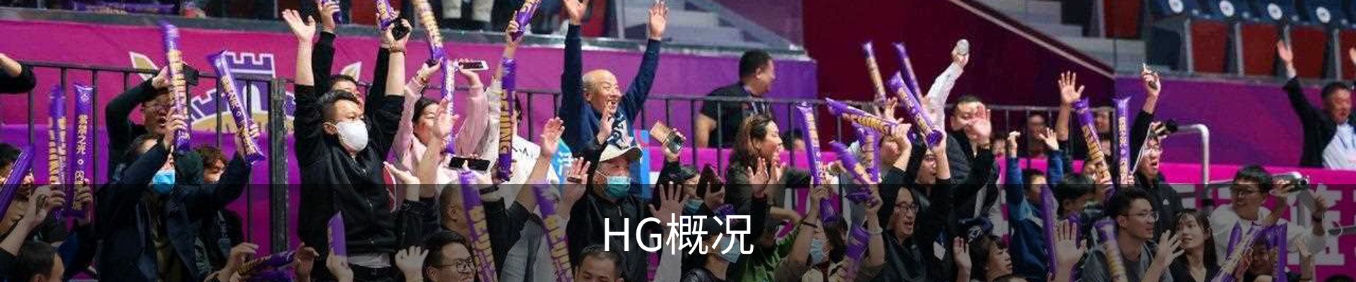 HG概况